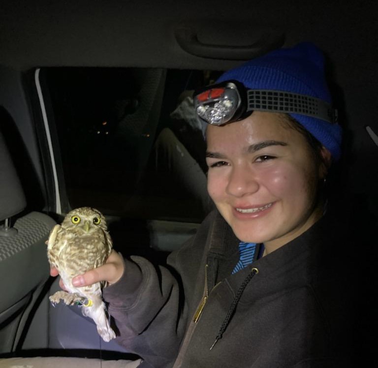 Leona Crowl wearing a headlamp holding an owl in her hand in the back of a car