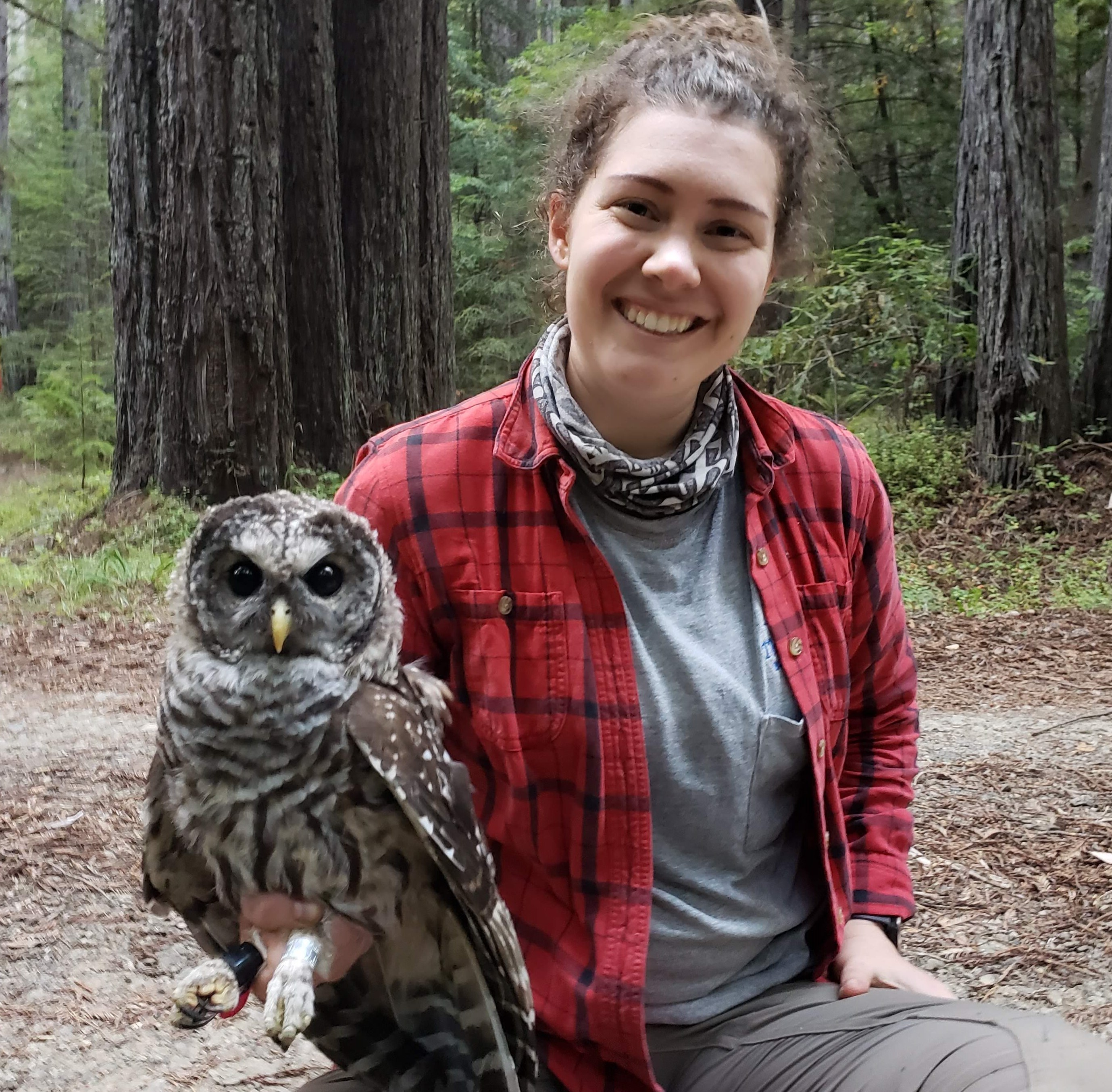 Photo of Whitney Watson kneeling in a forest, holding a brown, gray, and black owl